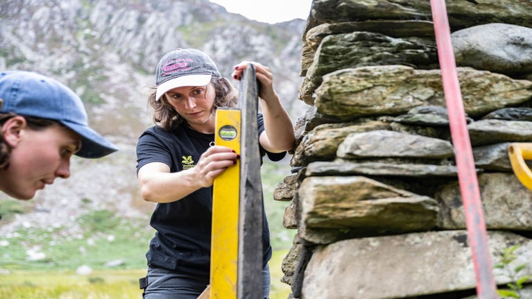Llun yn dangos crawiau yn cael eu gosod yn Ogwen yn Eryri